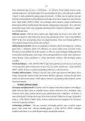 UAB „Hotels Help“ verslo planas 18 puslapis