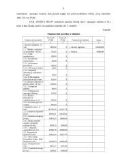 UAB „Hotels Help“ verslo planas 7 puslapis