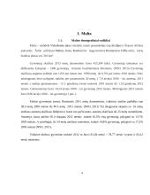 Malta – demografija, sveikatos sistema 4 puslapis