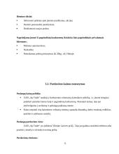 UAB „AP Trade“ praktikos ataskaita 11 puslapis