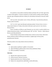 UAB „AP Trade“ praktikos ataskaita 4 puslapis