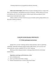 UAB „AP Trade“ praktikos ataskaita 10 puslapis