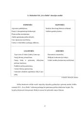 SIA „Ecco Baltic“ rinkodaros veiklos planavimas 17 puslapis