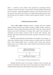 SIA „Ecco Baltic“ rinkodaros veiklos planavimas 7 puslapis