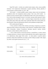 SIA „Ecco Baltic“ rinkodaros veiklos planavimas 8 puslapis