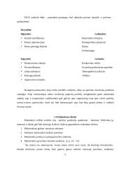 SIA „Ecco Baltic“ rinkodaros veiklos planavimas 9 puslapis