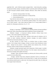 SIA „Ecco Baltic“ rinkodaros veiklos planavimas 10 puslapis