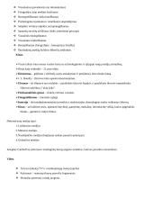 Medijų meno koliokviumo klausimai ir atsakymai 3 puslapis