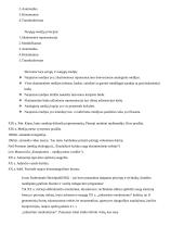 Medijų meno koliokviumo klausimai ir atsakymai 5 puslapis