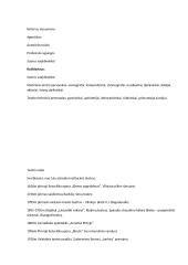 Teatras konspektas 3 puslapis
