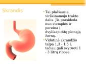 Virškinimas skrandyje 2 puslapis