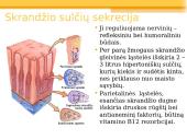 Virškinimas skrandyje 6 puslapis