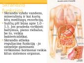 Virškinimas skrandyje 9 puslapis