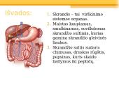 Virškinimas skrandyje 10 puslapis