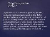 Gyventojų pajamų mokestis pristatymas 4 puslapis