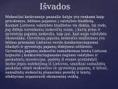 Gyventojų pajamų mokestis pristatymas 8 puslapis