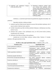 Atsiskaitymų (skolų) valdymas UAB “Petrochema“ 16 puslapis