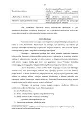 Atsiskaitymų (skolų) valdymas UAB “Petrochema“ 17 puslapis