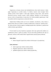 Organizacinių valdymų struktūrų projektavimas 3 puslapis