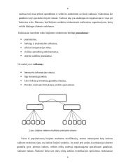 Organizacinių valdymų struktūrų projektavimas 6 puslapis