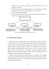 Organizacinių valdymų struktūrų projektavimas 8 puslapis