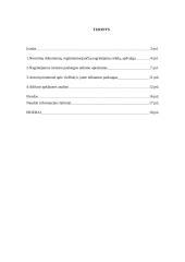 Viešbučio „Daniela“ analizė 3 puslapis