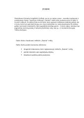 Viešbučio „Daniela“ analizė 4 puslapis