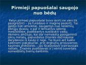 Lietuvių senovės papuošalai 3 puslapis