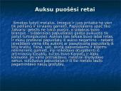 Lietuvių senovės papuošalai 5 puslapis