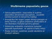 Lietuvių senovės papuošalai 6 puslapis
