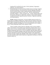 Teksto analizė - Nelegalius verslus sukantys emigrantai: nieko blogo nedarom 2 puslapis