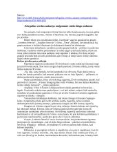 Teksto analizė - Nelegalius verslus sukantys emigrantai: nieko blogo nedarom 3 puslapis