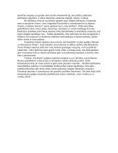 Teksto analizė - Nelegalius verslus sukantys emigrantai: nieko blogo nedarom 5 puslapis