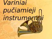 Variniai pučiamieji instrumentai 2 puslapis