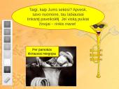Variniai pučiamieji instrumentai 16 puslapis
