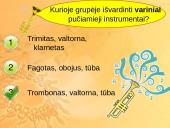Variniai pučiamieji instrumentai 5 puslapis