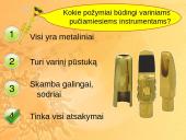 Variniai pučiamieji instrumentai 6 puslapis