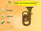 Variniai pučiamieji instrumentai 7 puslapis