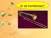 Variniai pučiamieji instrumentai 8 puslapis