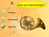 Variniai pučiamieji instrumentai 9 puslapis