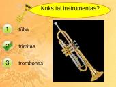 Variniai pučiamieji instrumentai 10 puslapis