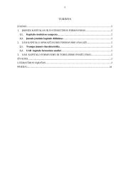 Kapitalo struktūros formavimas UAB  2 puslapis