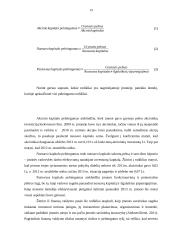 Kapitalo struktūros formavimas UAB  13 puslapis