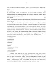 Kapitalo struktūros formavimas UAB  18 puslapis