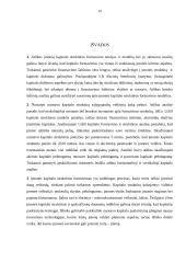 Kapitalo struktūros formavimas UAB  19 puslapis