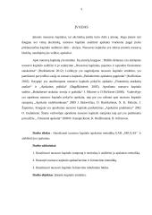 Kapitalo struktūros formavimas UAB  3 puslapis