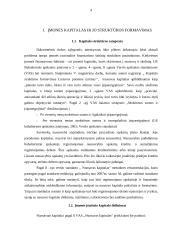 Kapitalo struktūros formavimas UAB  4 puslapis
