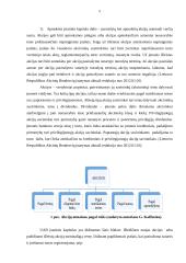 Kapitalo struktūros formavimas UAB  5 puslapis