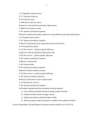 Kapitalo struktūros formavimas UAB  6 puslapis