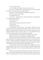 Kapitalo struktūros formavimas UAB  9 puslapis